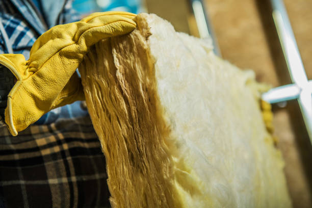 Best Insulation Removal  in Bayside, WI